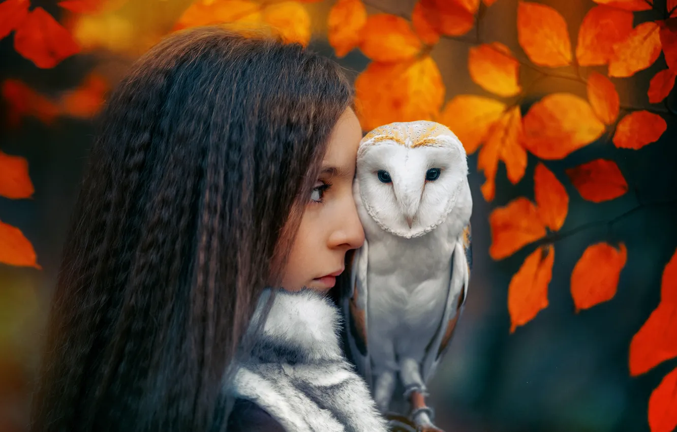 Фото обои осень, листья, девушка, сова, птица, брюнетка, профиль, Janusz Żołnierczyk