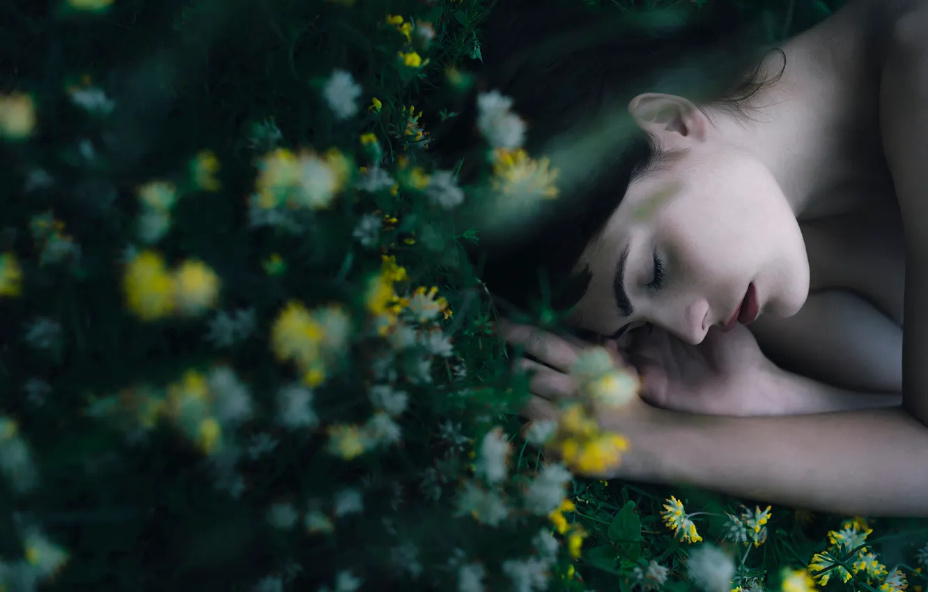 Фото обои трава, девушка, цветы, отдых, сон, макияж