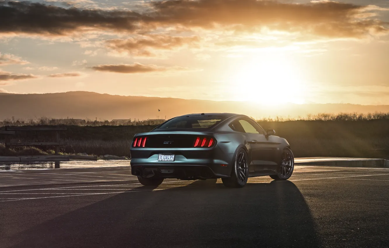 Фото обои Mustang, Ford, Muscle, Car, Sunset, Wheels, Rear, 2015