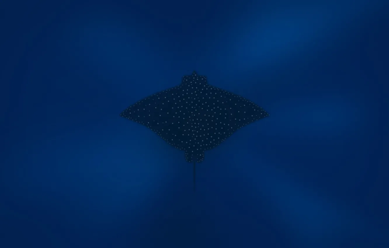 Фото обои ocean, deep blue, manta rays