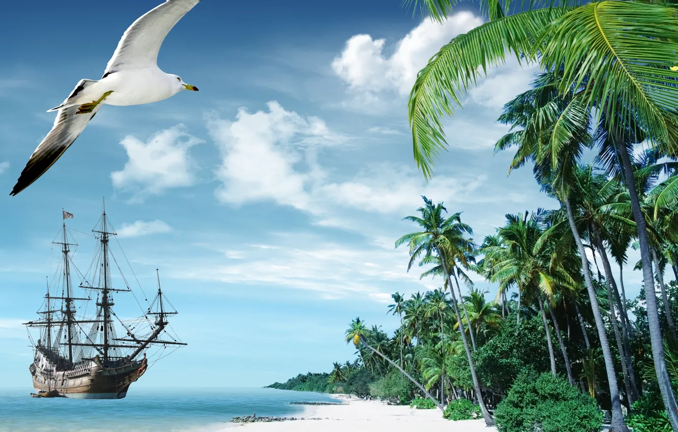 Фото обои песок, море, пляж, тропики, пальмы, берег, корабль, остров