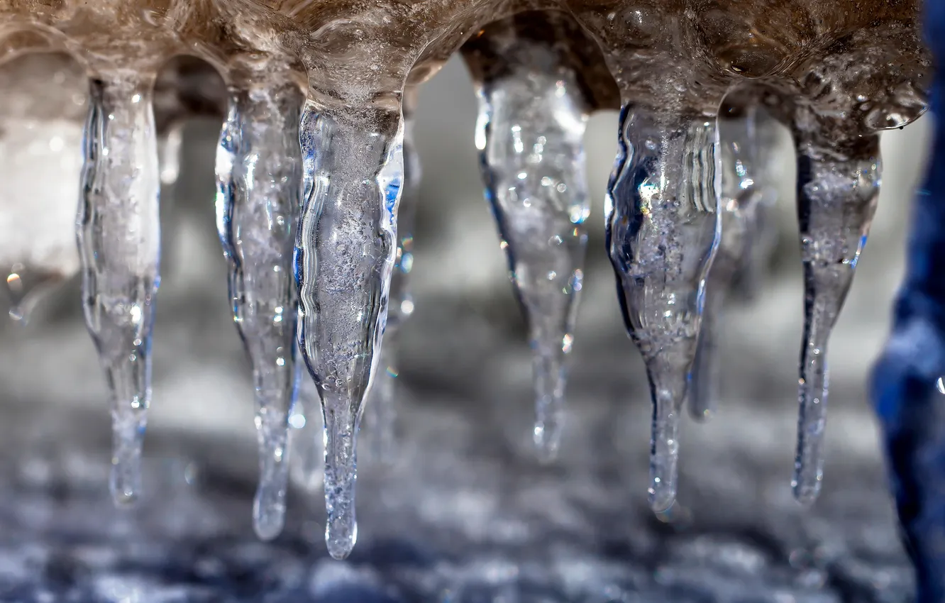 Фото обои зима, природа, лёд, сосульки