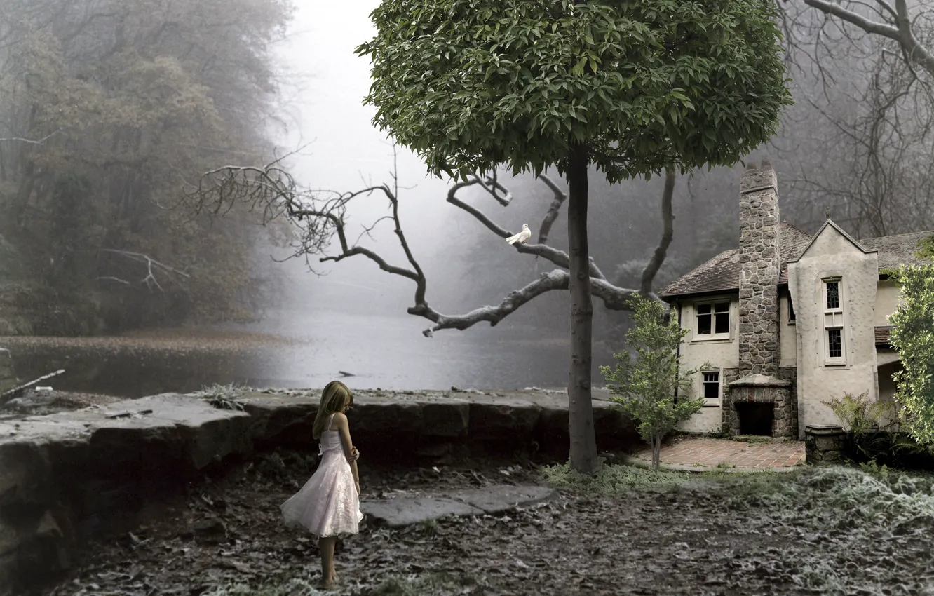 Фото обои дом, дерево, девочка, монтаж