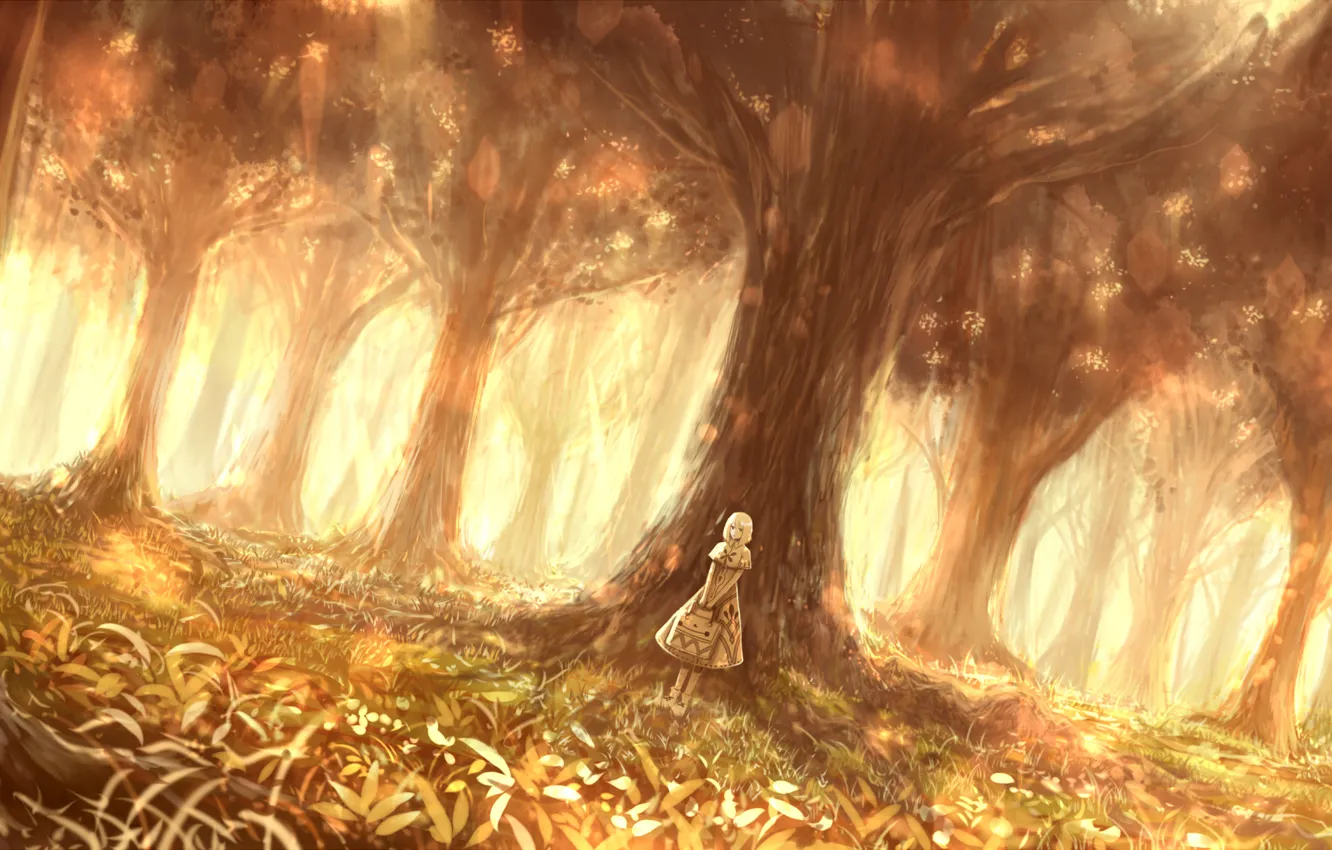 Фото обои лес, девушка, природа, арт, bounin
