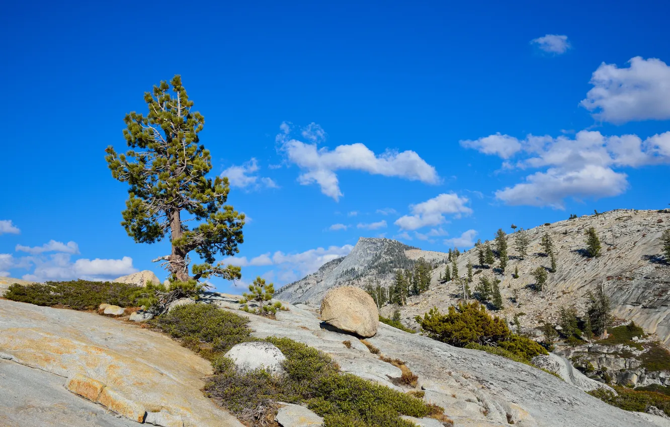 Фото обои небо, облака, горы, природа, камни, дерево, скалы, Калифорния