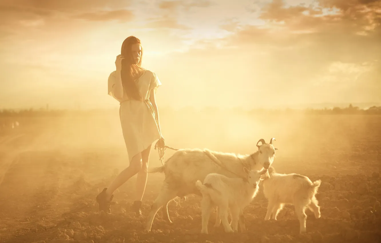 Фото обои девушка, прогулка, young, sun, Shepherd, козы, situation, sepia