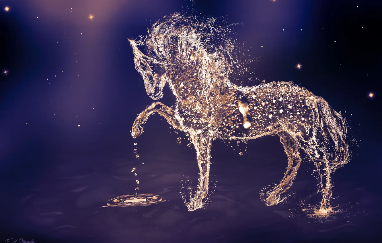 Фото обои вода, капли, животное, конь, лошадь, арт