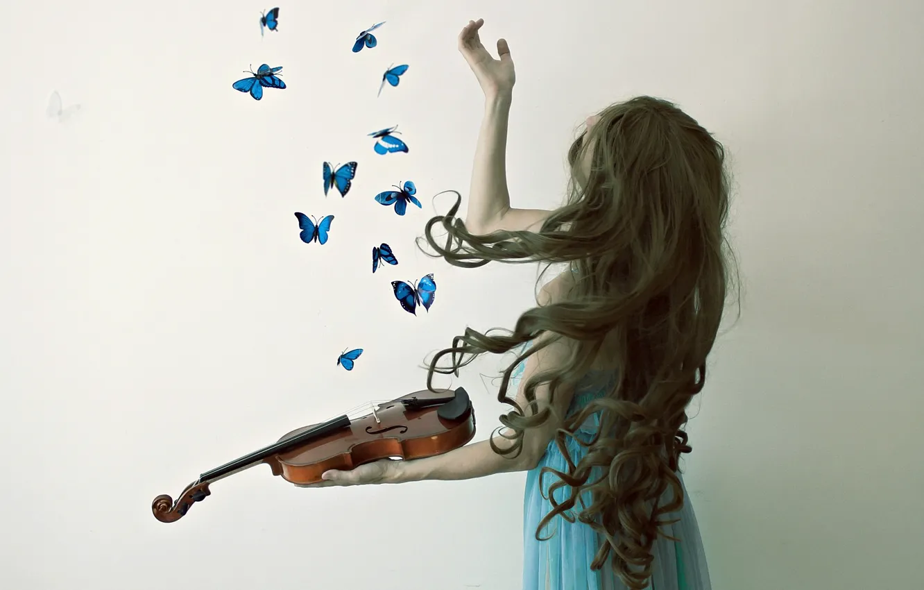 Фото обои девушка, бабочки, скрипка