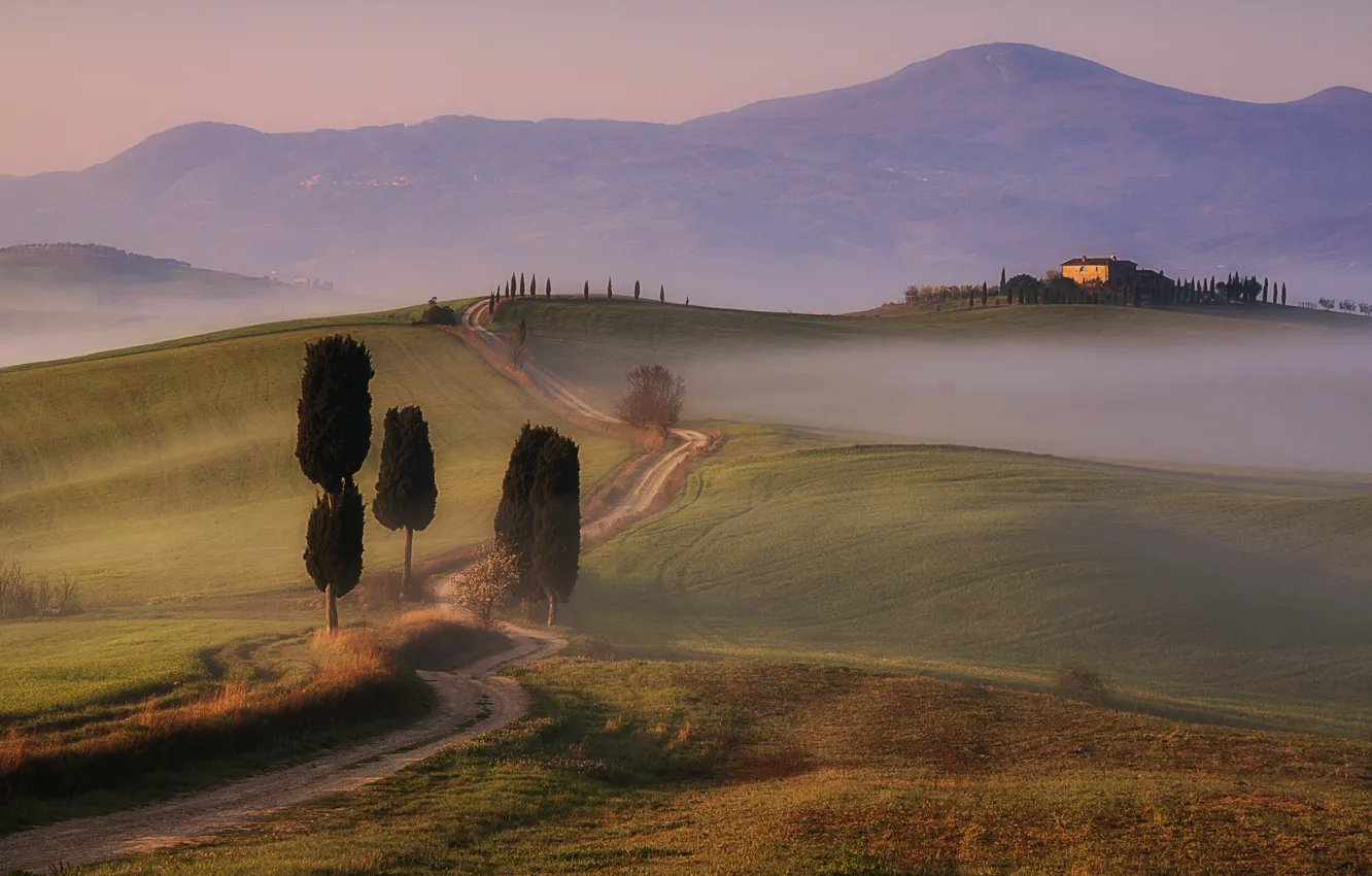 Фото обои fog, Tuscany, Gladiator's Road