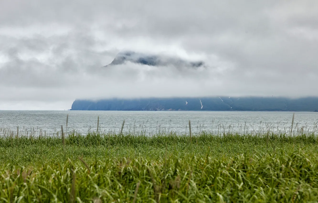 Фото обои море, зелень, трава, горы, туман, побережье, Россия, Камчатка