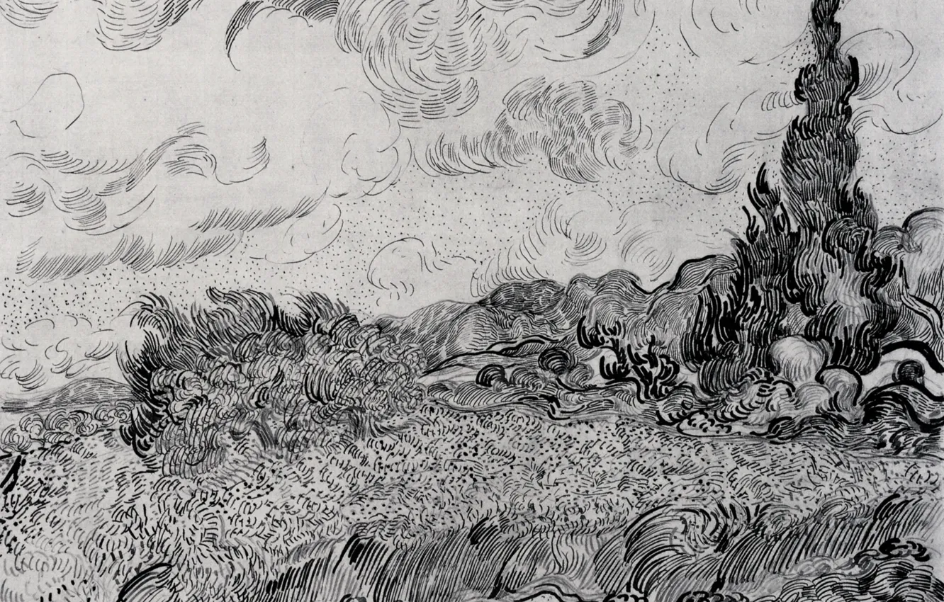 Фото обои Vincent van Gogh, чёрно - белое, Wheat Field with Cypresses