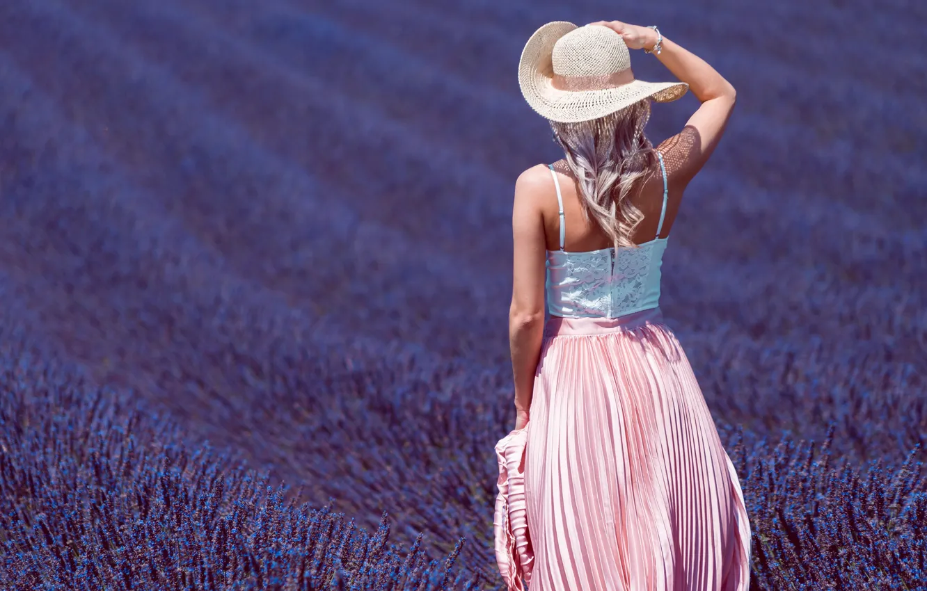 Фото обои поле, лето, девушка, свет, цветы, поза, настроение, спина