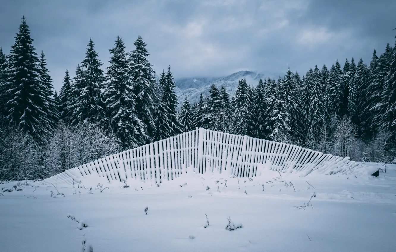 Фото обои зима, поле, лес, небо, облака, снег, горы, забор