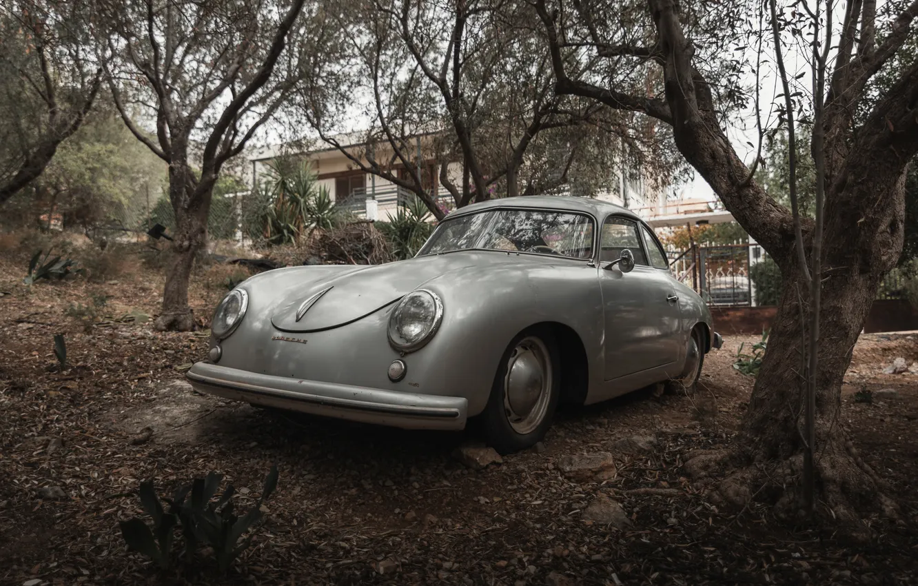 Фото обои Porsche, 1953, 356, Porsche 356