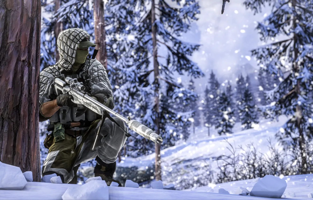 Фото обои зима, лес, солдат, снайпер, экипировка, Battlefield 4