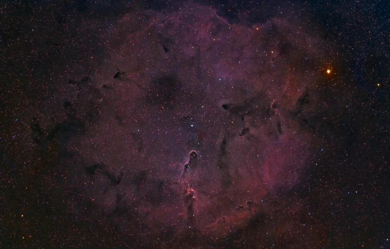 Фото обои космос, звёзды, Туманность, Nebula, Elephant's Trunk