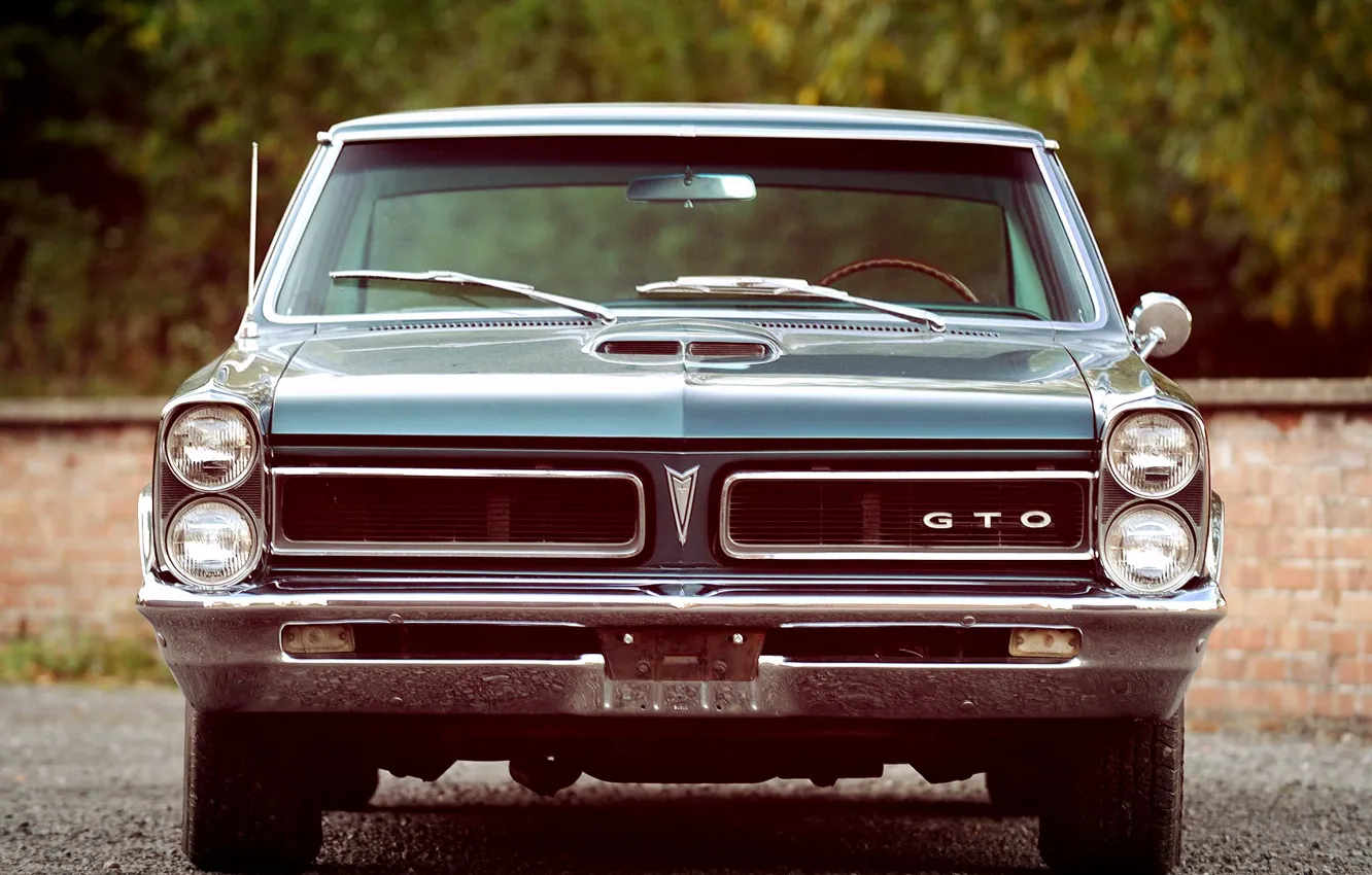 Фото обои Front, Pontiac, GTO