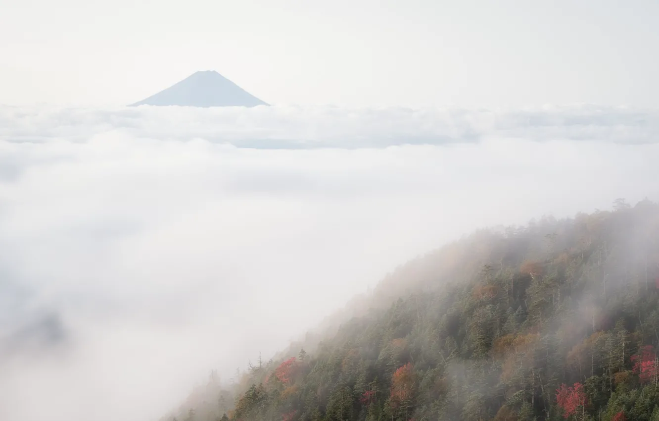 Фото обои горы, природа, туман