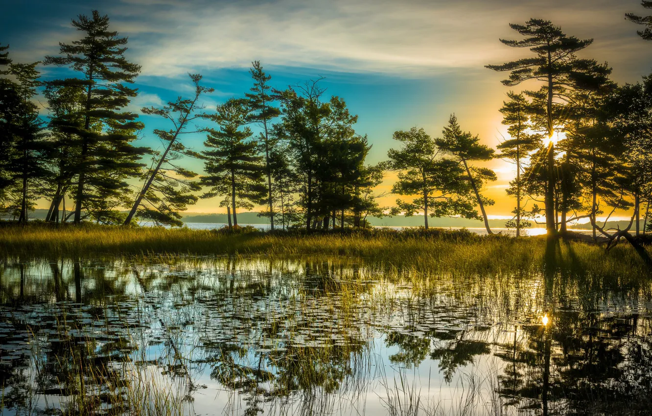 Фото обои деревья, озеро, отражение, восход, рассвет, утро, Мичиган, Michigan