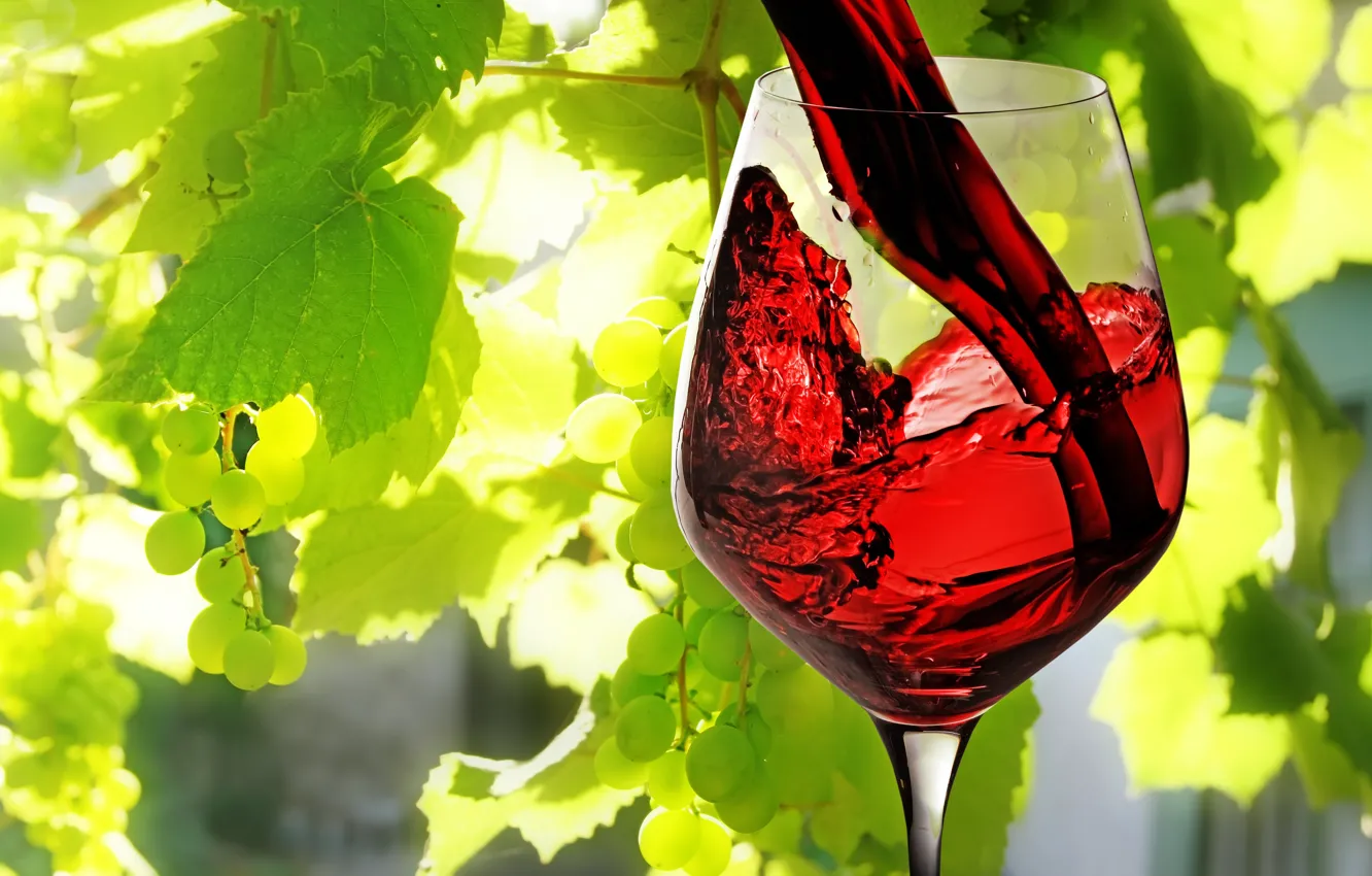 Фото обои листья, вино, красное, бокал, виноград, наливается