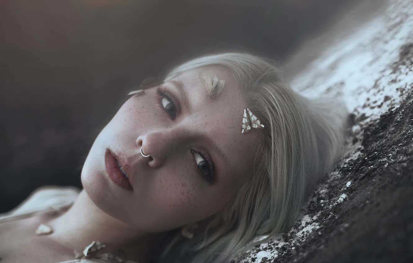 Фото обои пирсинг, веснушки, мотыльки, Aleah Michele, Quiecence