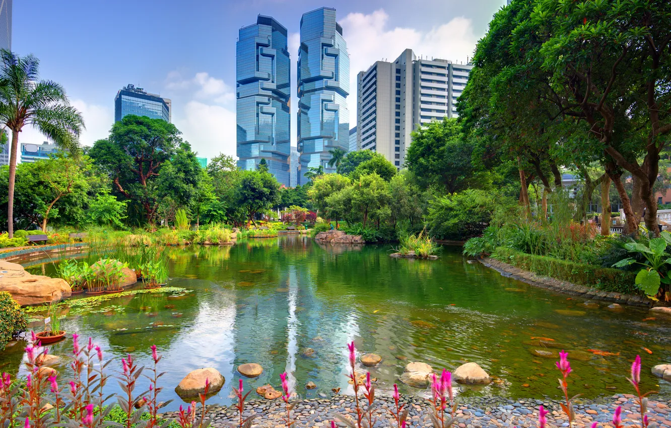 Фото обои деревья, природа, пруд, парк, фото, дома, Гонконг