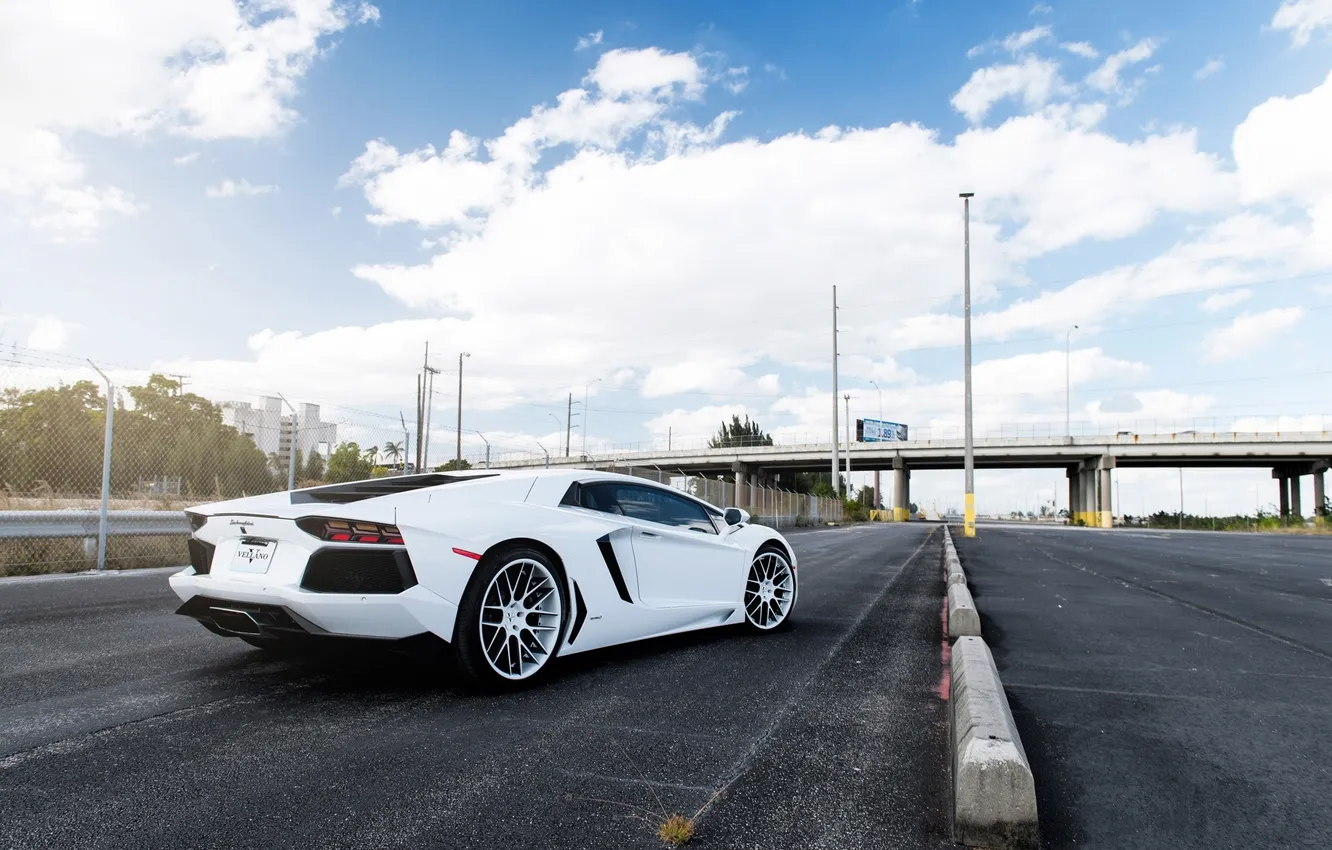 Фото обои белый, небо, облака, white, lamborghini, вид сзади, aventador, lp700-4