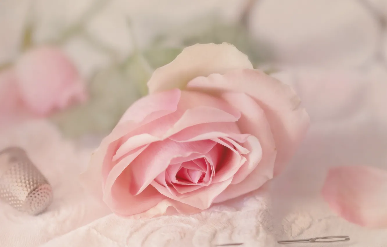 Фото обои иголки, игла, розы, ткань