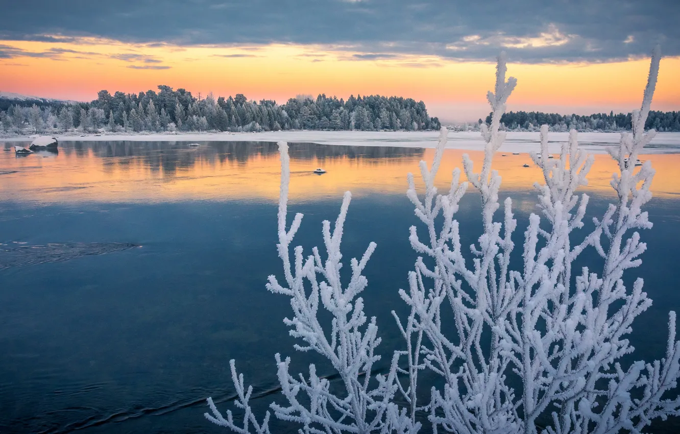 Фото обои иней, осень, ветки, озеро, Швеция, Sweden, изморозь, Lapland