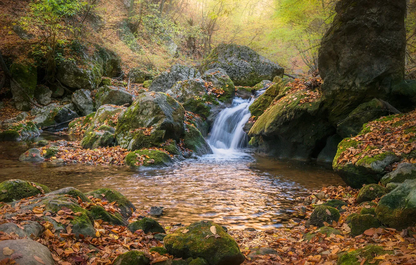 Фото обои осень, река, камни, водопад, Россия, Крым, опавшие листья, Владимир Яковлев