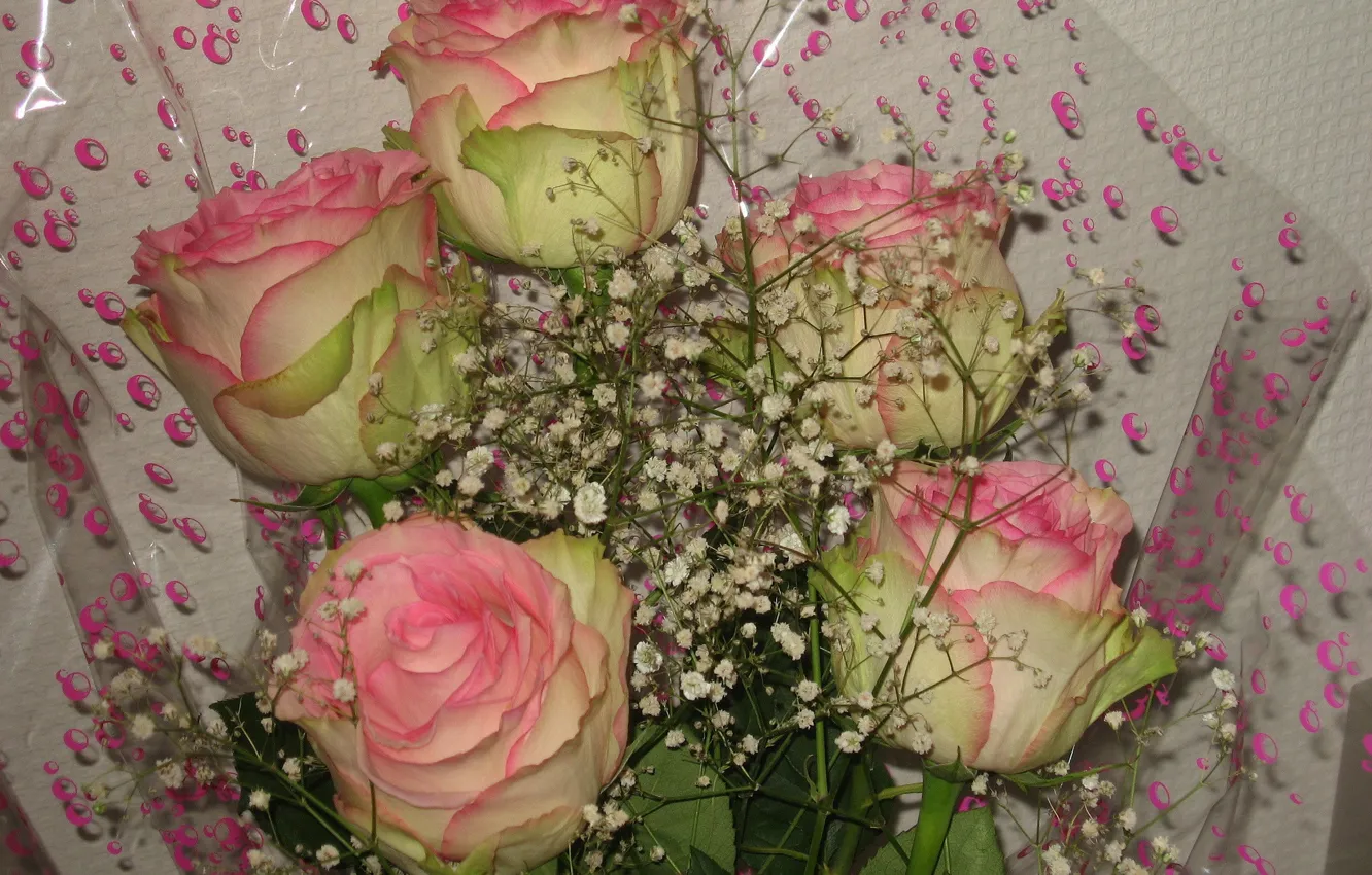 Фото обои розы, букет, обёртка