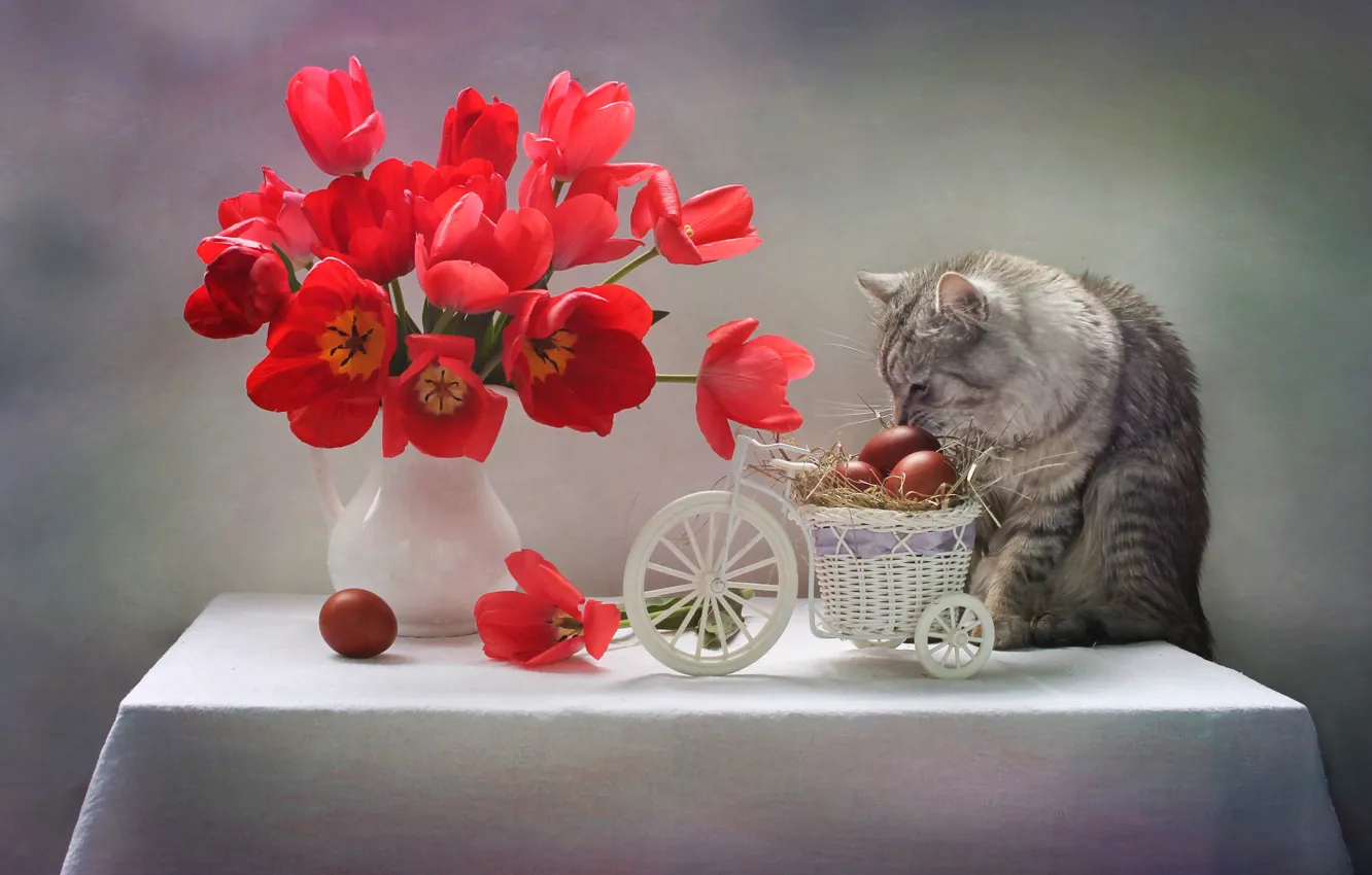Фото обои кот, цветы, стол, животное, яйца, Пасха, тюльпаны, кувшин