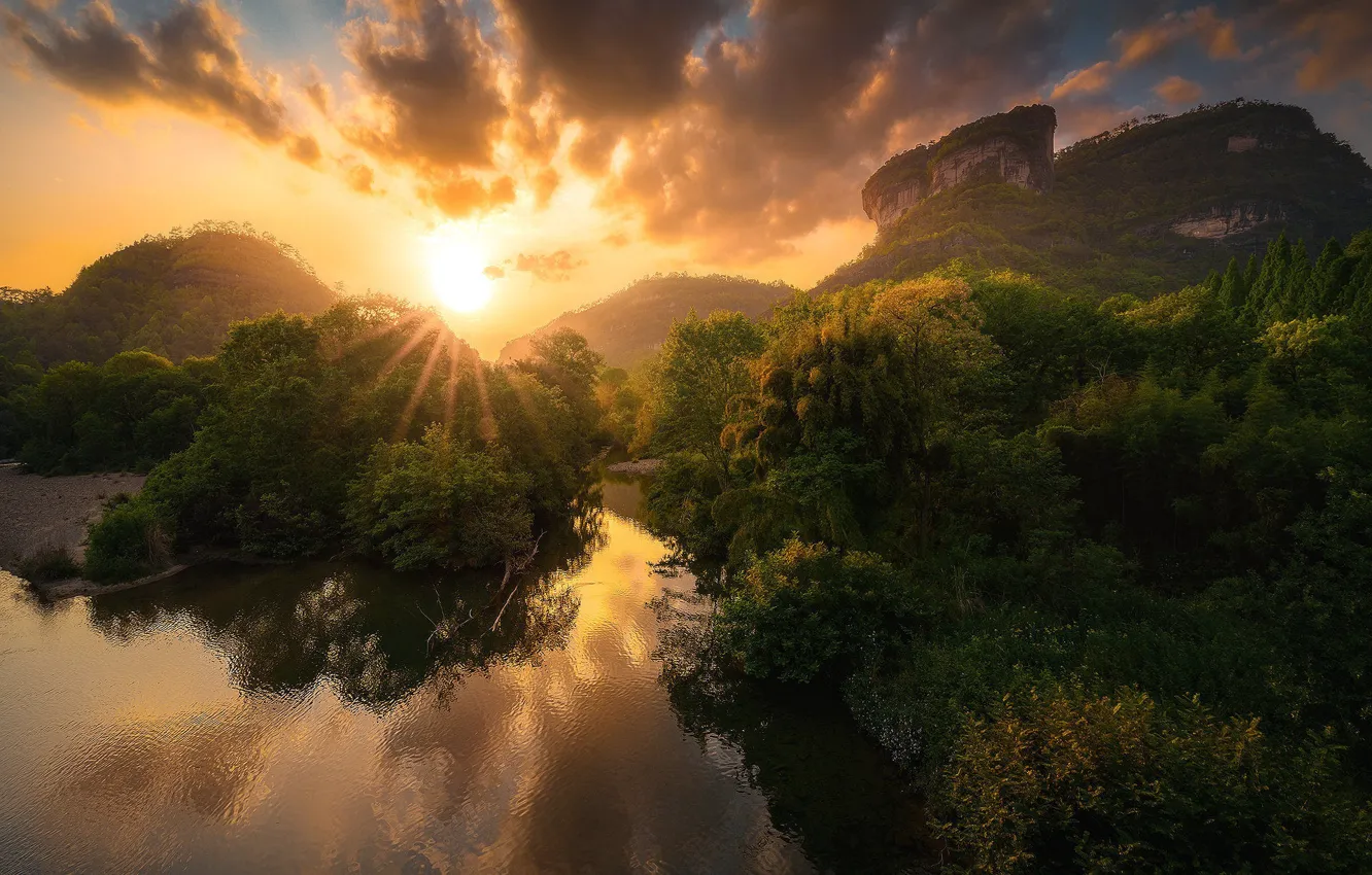 Фото обои лес, солнце, горы, берег, растительность, водоем, кустарники