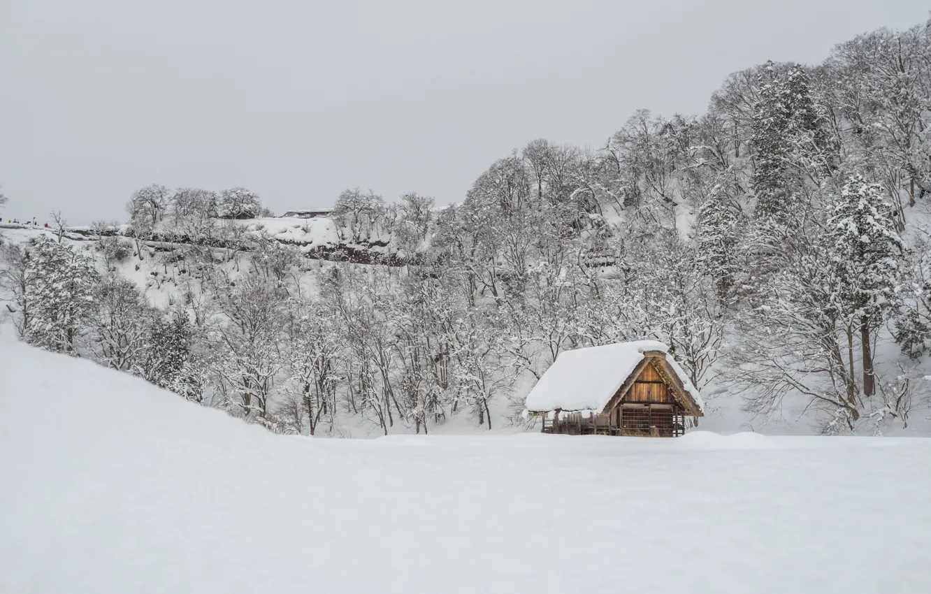 Фото обои зима, снег, деревья, пейзаж, зимний, house, хижина, landscape