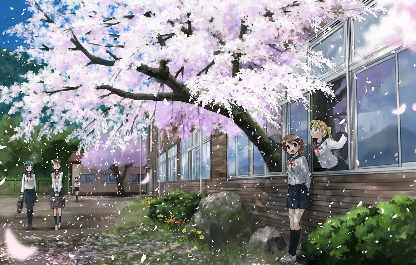 Фото обои девочки, весна, лепестки, сакура, школа, ikeda jun