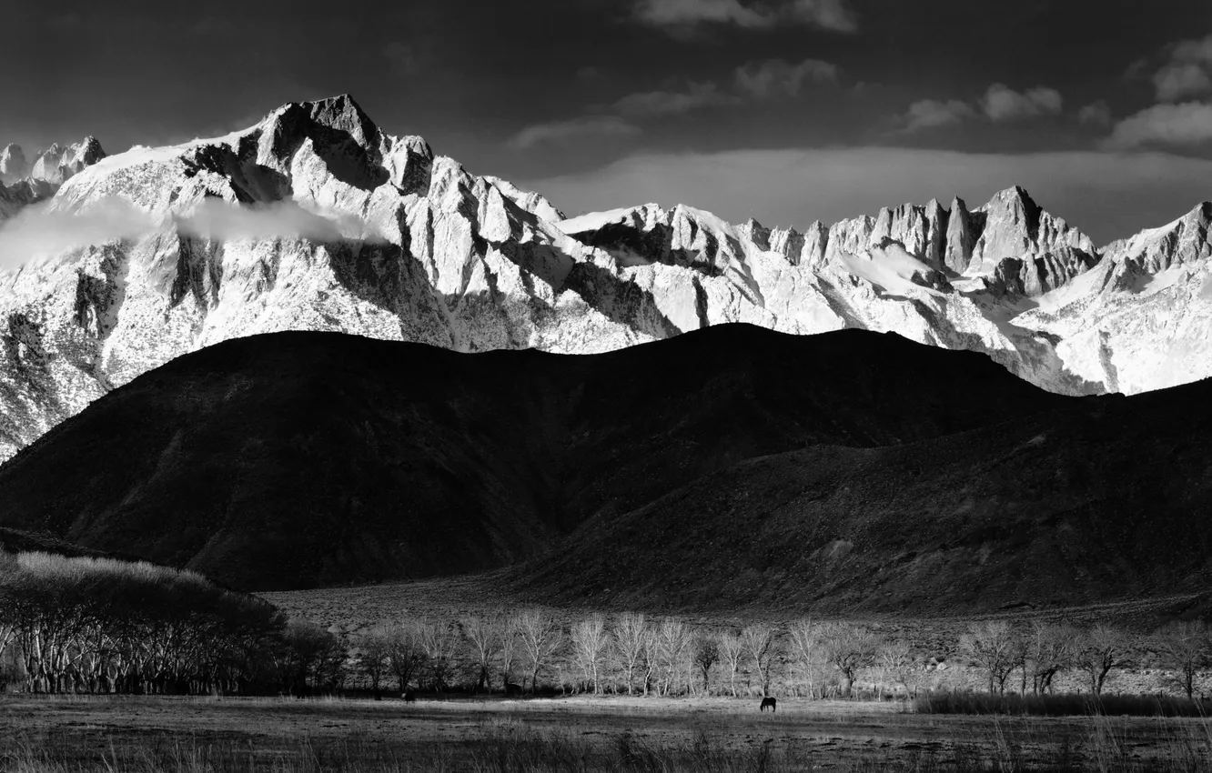 Фото обои зима, горы, черно- белое