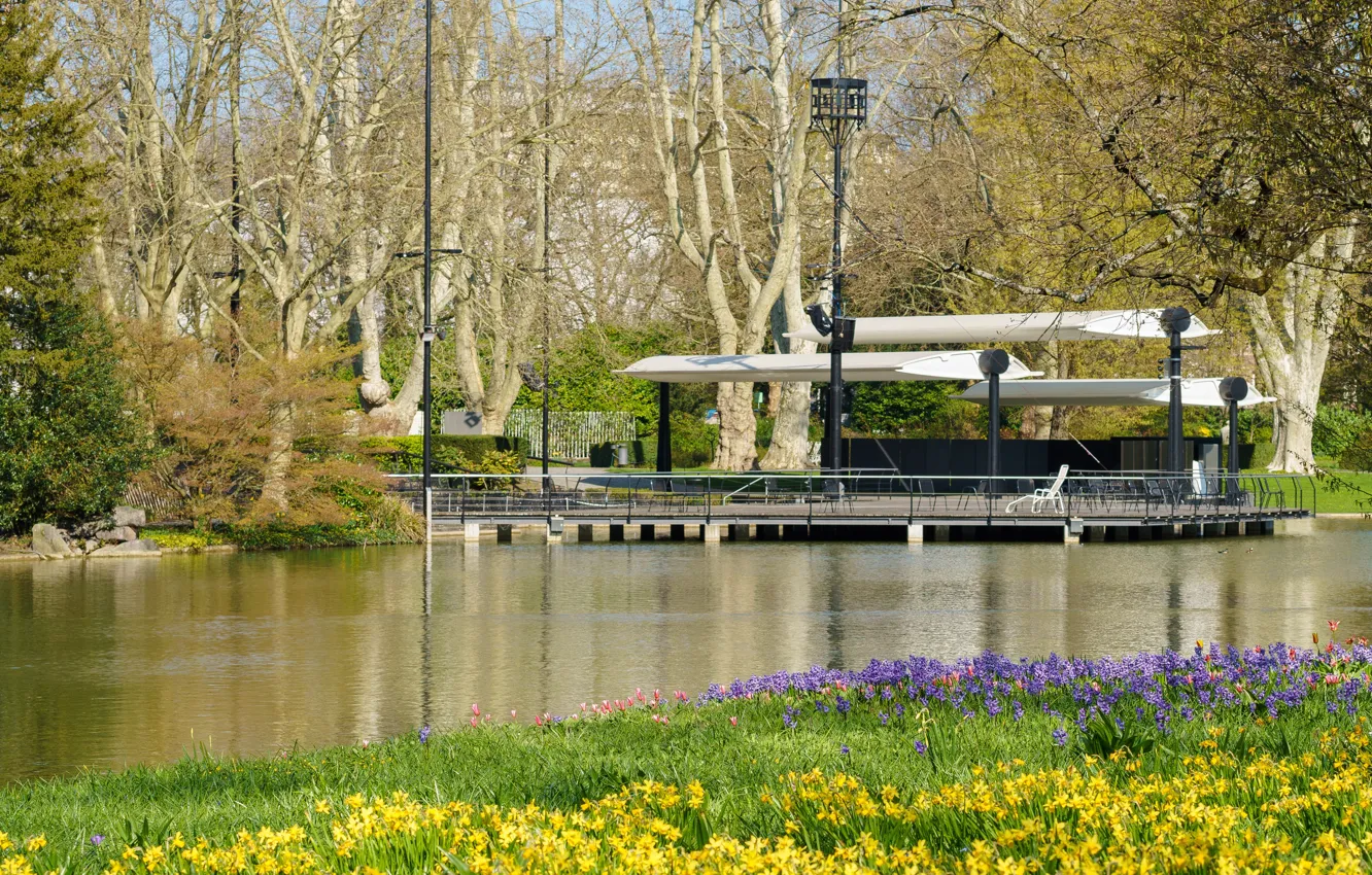 Фото обои солнце, деревья, цветы, парк, весна, Германия, нарциссы, боке