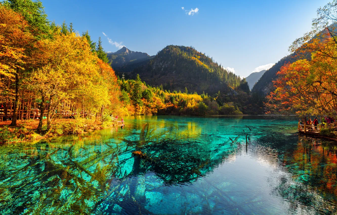 Фото обои осень, лес, деревья, горы, озеро, желтые, Китай, солнечно
