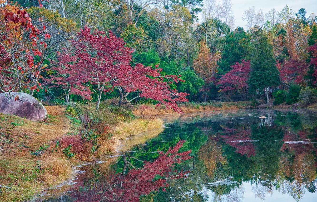 Фото обои осень, лес, небо, деревья, пруд, парк, камни