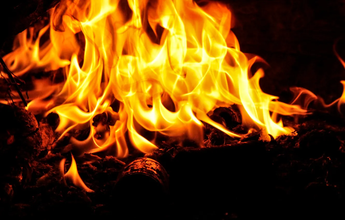 Фото обои огонь, пламя, костер, полено