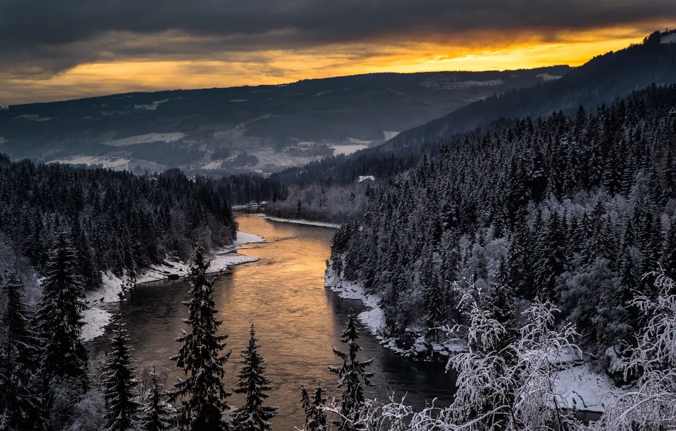 Фото обои зима, лес, снег, деревья, река, холмы