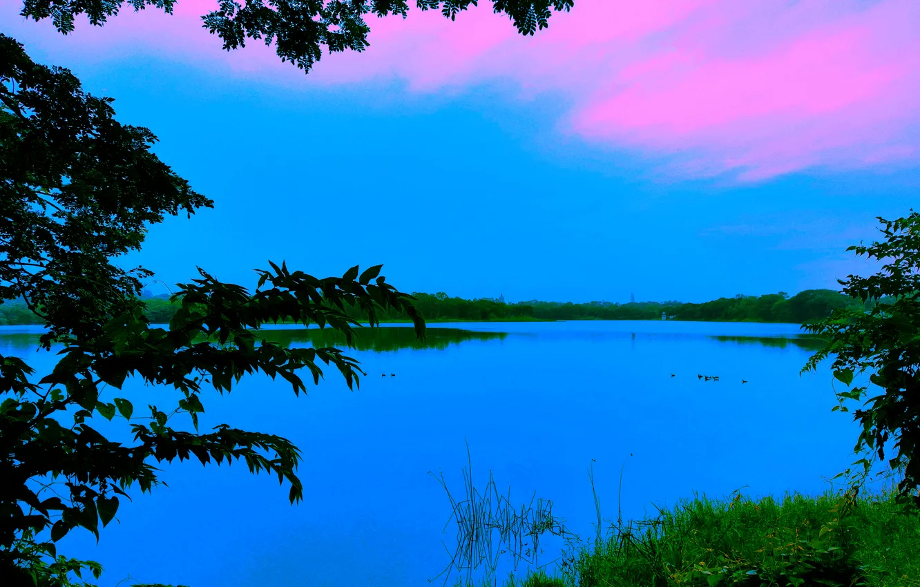 Фото обои Clouds, Sky, Water, Sunrise, Dawn, Morning, Lake, Trees