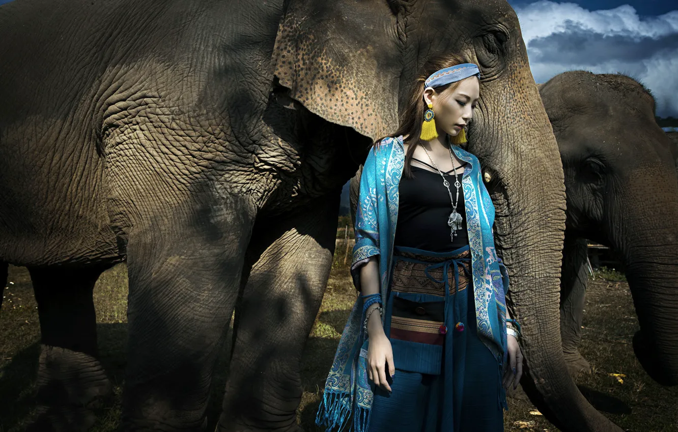 Фото обои девушка, слон, азиатка