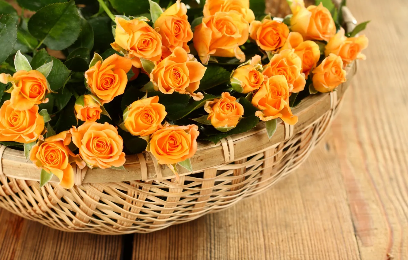 Фото обои розы, лепестки, rose, flowers, petals, roses, корзины, basket