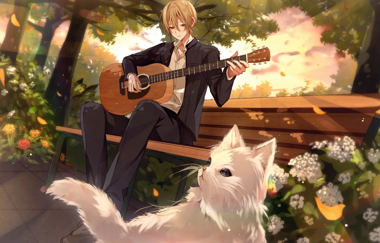 Фото обои гитара, парень, играет, в парке, белый кот, садовые цветы, на скамейке