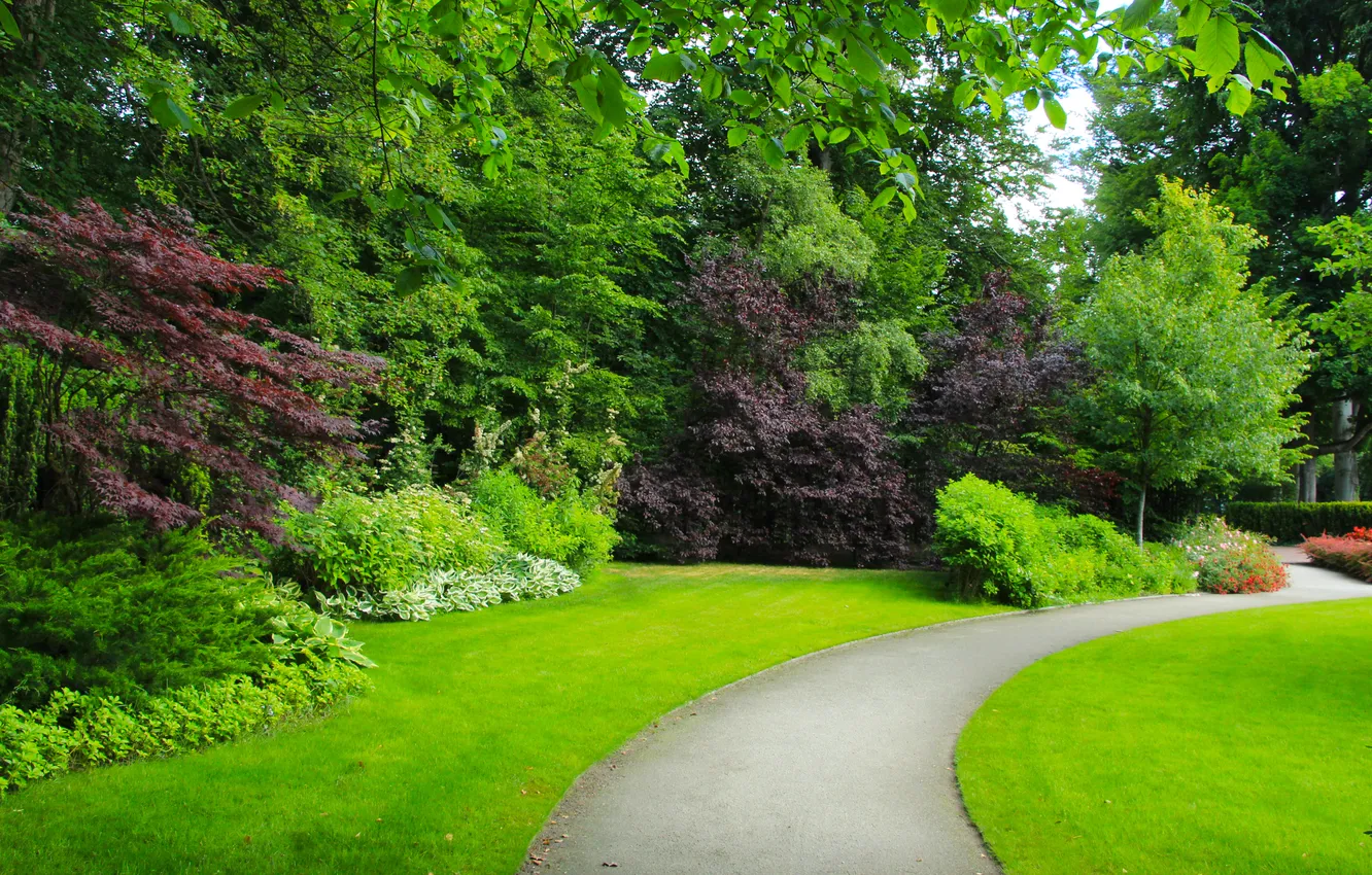 Фото обои trees, park, alley