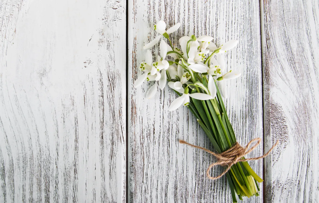 Фото обои цветы, букет, подснежники, white, белые, flowers, spring, snowdrops