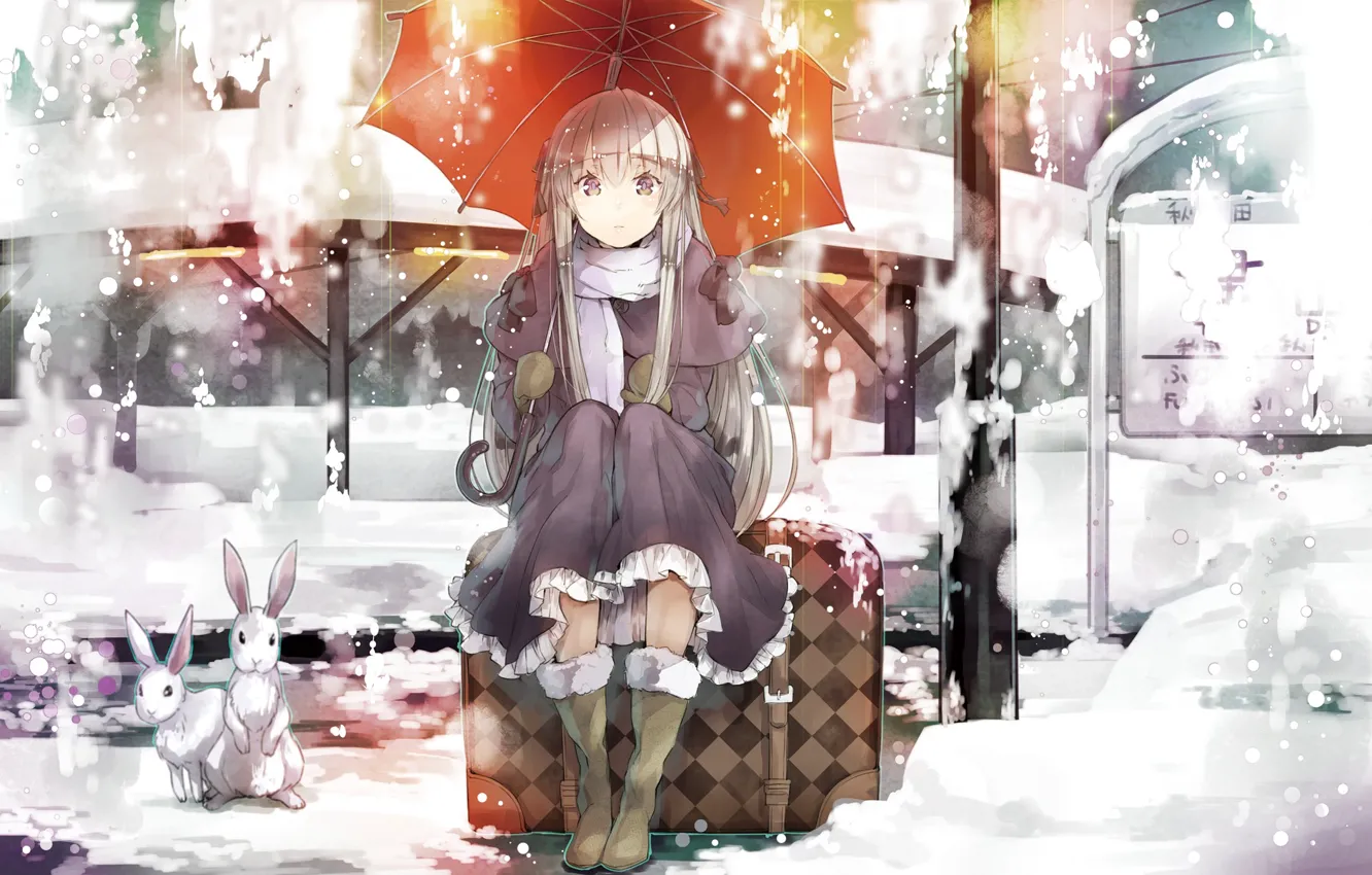 Фото обои девушка, снег, зонт, кролик, платье, сидит, карие глаза, kasugano sora