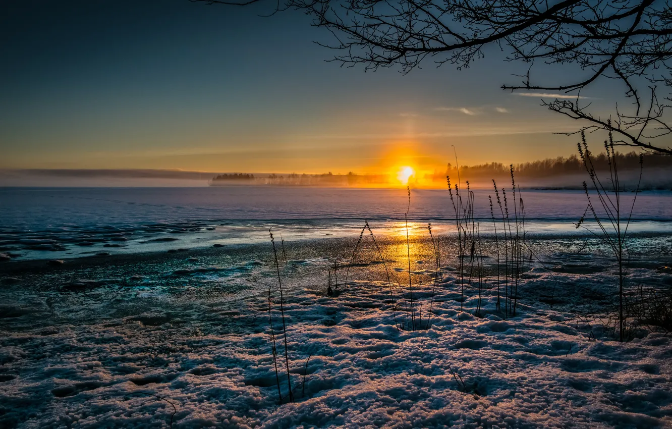 Фото обои холод, лед, зима, трава, солнце, снег, закат, озеро