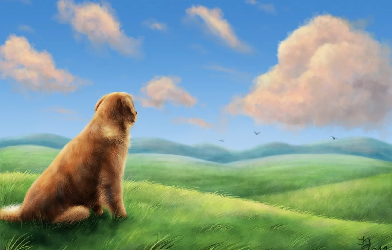Фото обои поле, трава, облака, птицы, ветер, холмы, собака, арт
